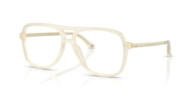 Jimmy Choo JC3052U 5089 55