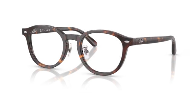 Ray-Ban RX5443D 2012 49