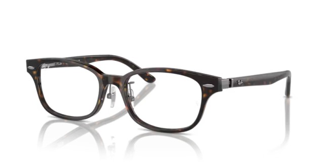 Ray-Ban RX5427D 8287 53