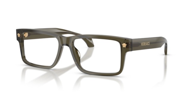 Versace VE3391U 5542 56