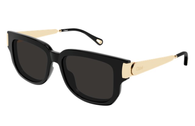 Chloé 0351S 001 54