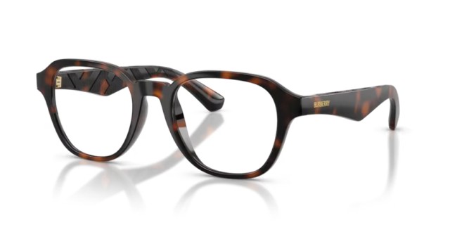 Burberry BE2444U 3002 49