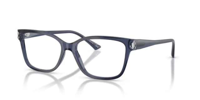 Jimmy Choo JC3012 5035 55