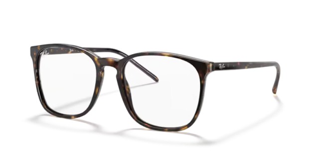 Ray-Ban RX5387 2012 54