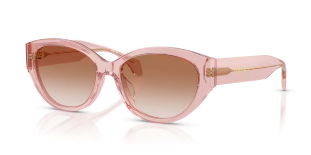 Versace VE4495D 543413 56