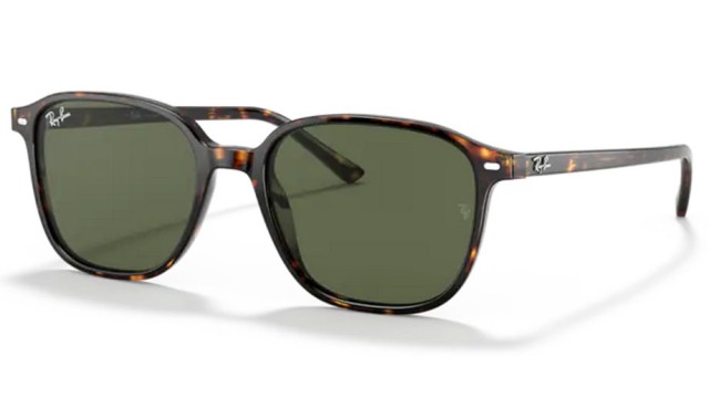 Ray-Ban Leonard  RB 2193 902/31 53