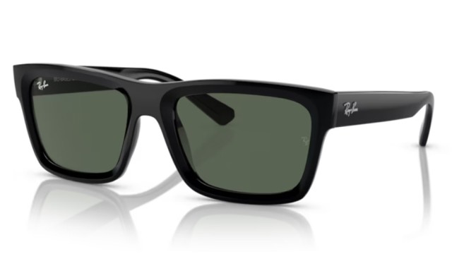 Ray-Ban Warren RB4396 667771 54