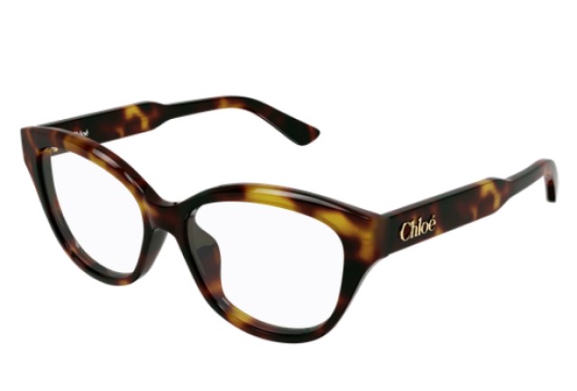 Chloé 0381OL 007 54