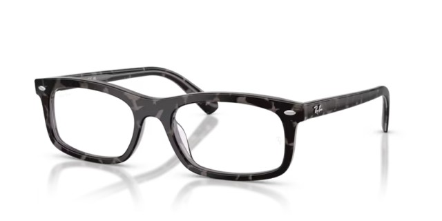 Ray-Ban RX5450 8483 56