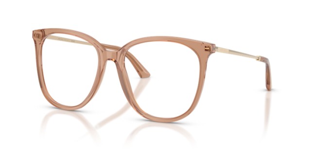 Jimmy Choo JC3060 5076 55