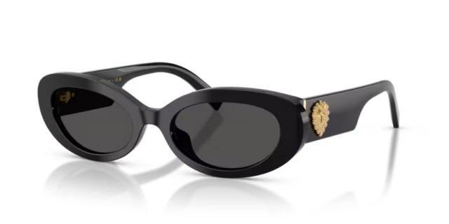 Dolce & Gabbana DG4537 501/87 53
