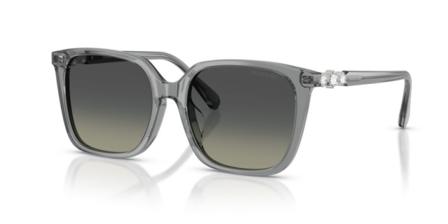 Swarovski SK6053D 106211 55