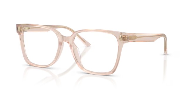 Jimmy Choo JC3038D 5052 54