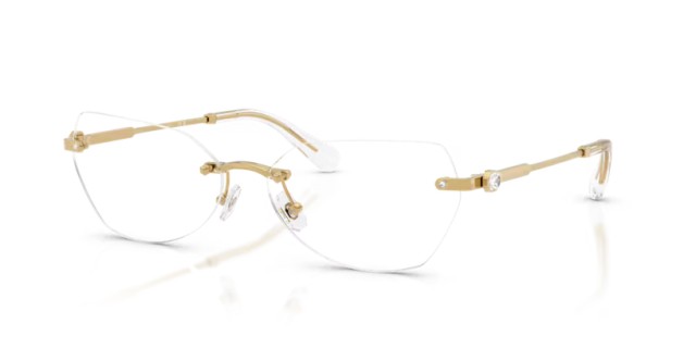 Swarovski SK1031 4004 58