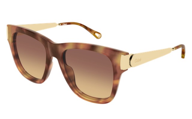 Chloé 0349S 002 54