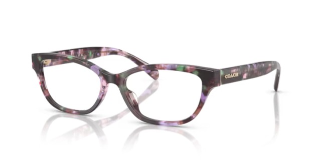 Coach HC6250U 5843 54