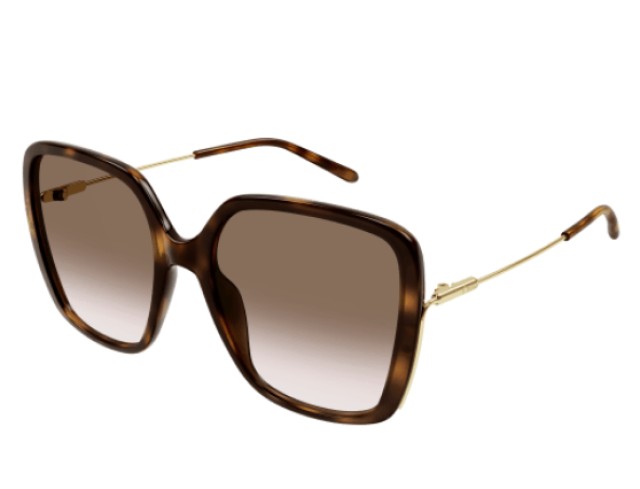 Chloé 0173S 002 57