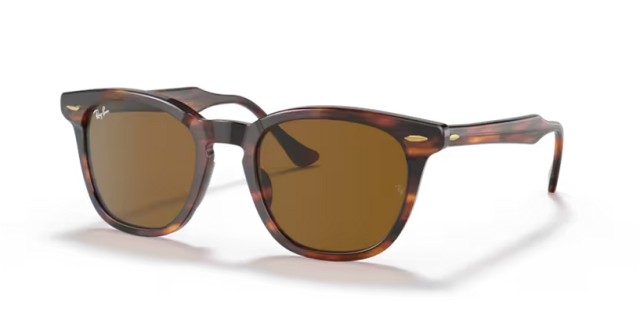 Ray-Ban Hawkeye RB2298 954/33 52