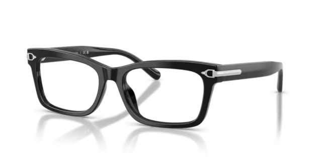 Ralph Lauren RL6255U 5001 55