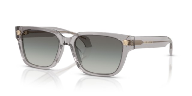 Versace VE4513D 593/11 56