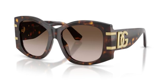 Dolce & Gabbana DG4501 502/13 54