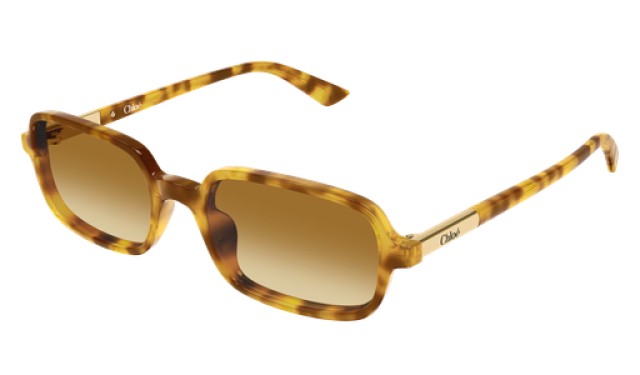 Chloé 0363S 004 53