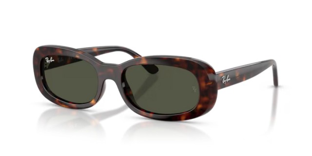 Ray-Ban RB2221 902/31 53