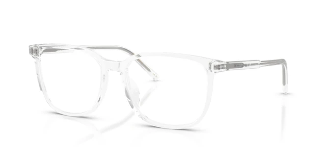 Dolce & Gabbana DG3445 3133 53