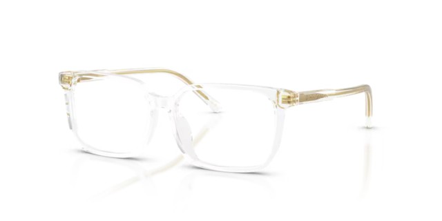 Dolce & Gabbana Kids DX3003 3133 51