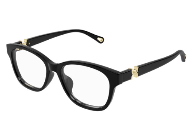 Chloe CH0336OA 001 53