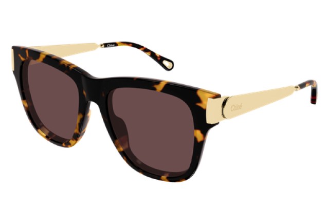 Chloé 0349S 003 54