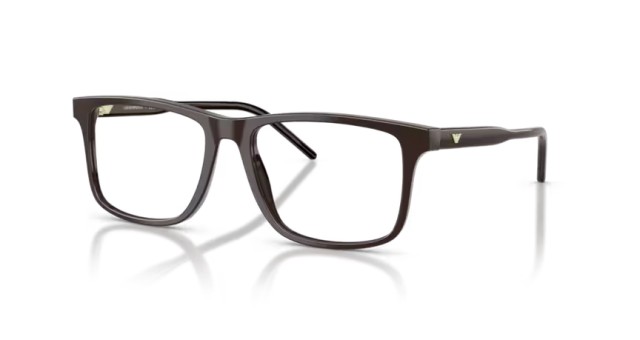 Emporio Armani EA3257 6255 53