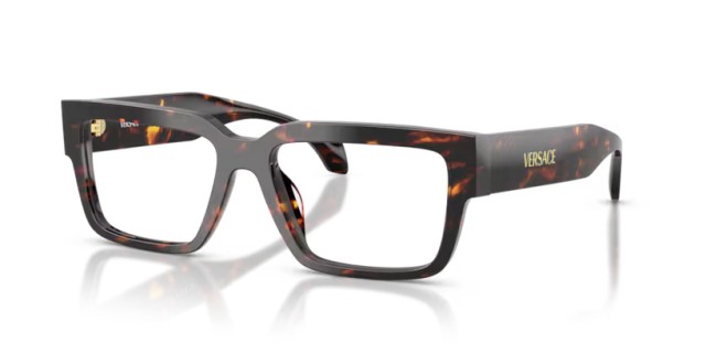 Versace VE3374U 5509 55