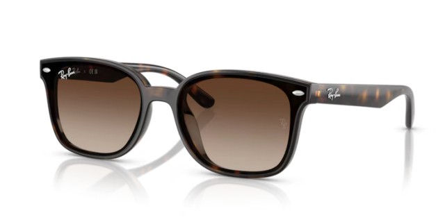 Ray-Ban RB4461D 710/13 64