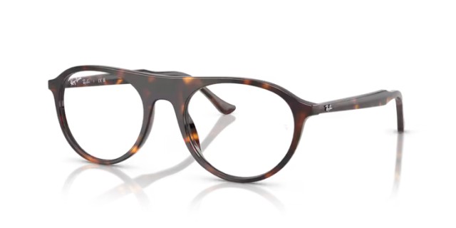 Ray-Ban RX5441 2012 53