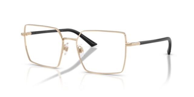 Jimmy Choo JC2022 3006 55