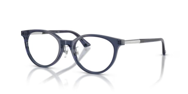 Jimmy Choo JC3039D 5035 48