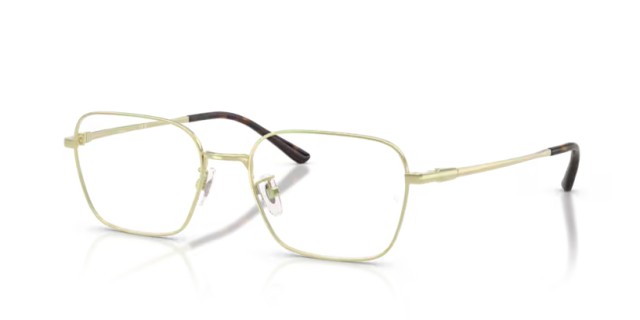 Ray-Ban RX8784D 1251 54