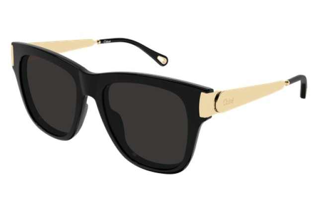 Chloé 0349S 001 54