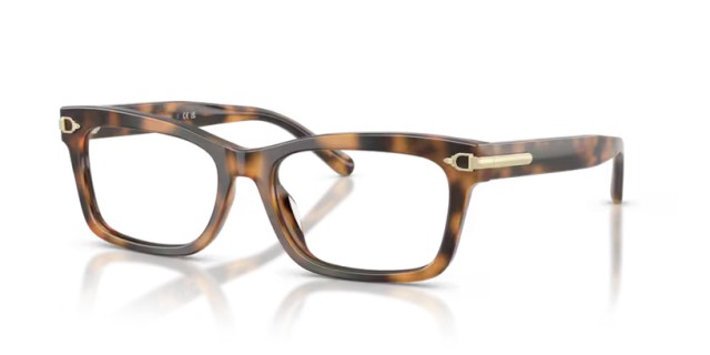 Ralph Lauren RL6255U 6089 55