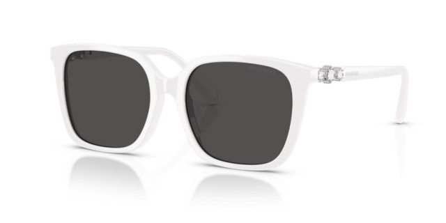 Swarovski SK6053D 105087 55