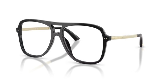 Jimmy Choo JC3052U 5000 55