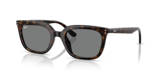 Ray-Ban RB4439D 710/87 54