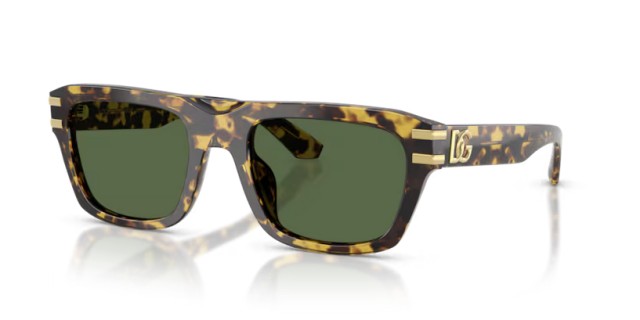 Dolce & Gabbana DG4496 333071 54