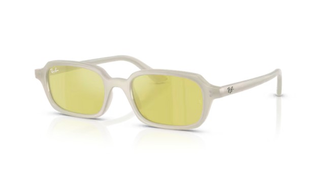 Ray-Ban Zuri RB4455 68086D 49