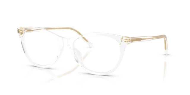 Dolce & Gabbana DG3443 3133 53