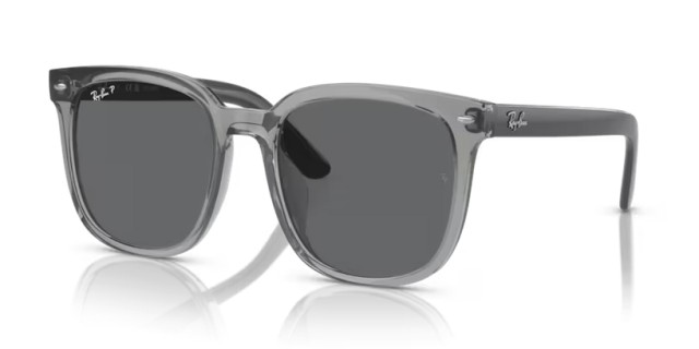 Ray-Ban RB4401D 659981 55