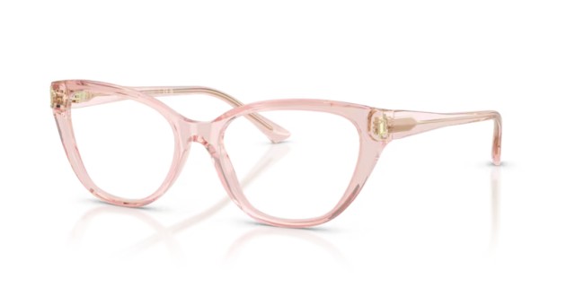 Jimmy Choo JC3011 5034 54