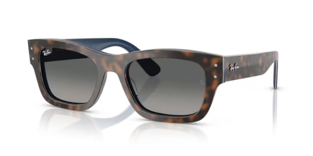 Ray-Ban Joseph RB7683S 140171 55