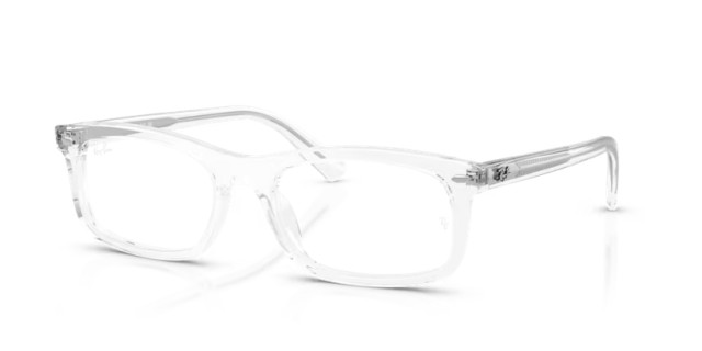 Ray-Ban RX5450 2001 54